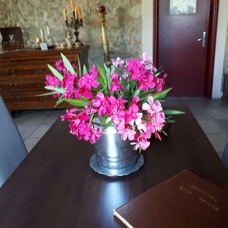 فيلا Casa Selene Rocchi Savignano sul Panaro المظهر الخارجي الصورة