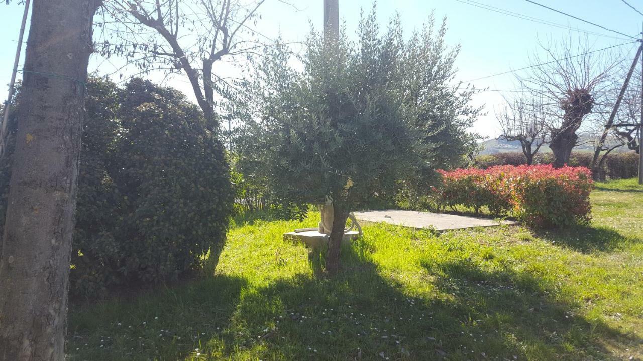 فيلا Casa Selene Rocchi Savignano sul Panaro المظهر الخارجي الصورة